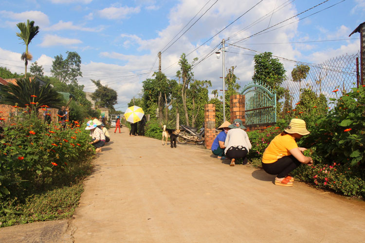 Phụ nữ Đức Trọng tham gia xây dựng nông thôn mới gắn với Cuộc vận động &quot;5 không, 3 sạch&quot;
