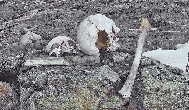 Xương người trong hồ Roopkund.