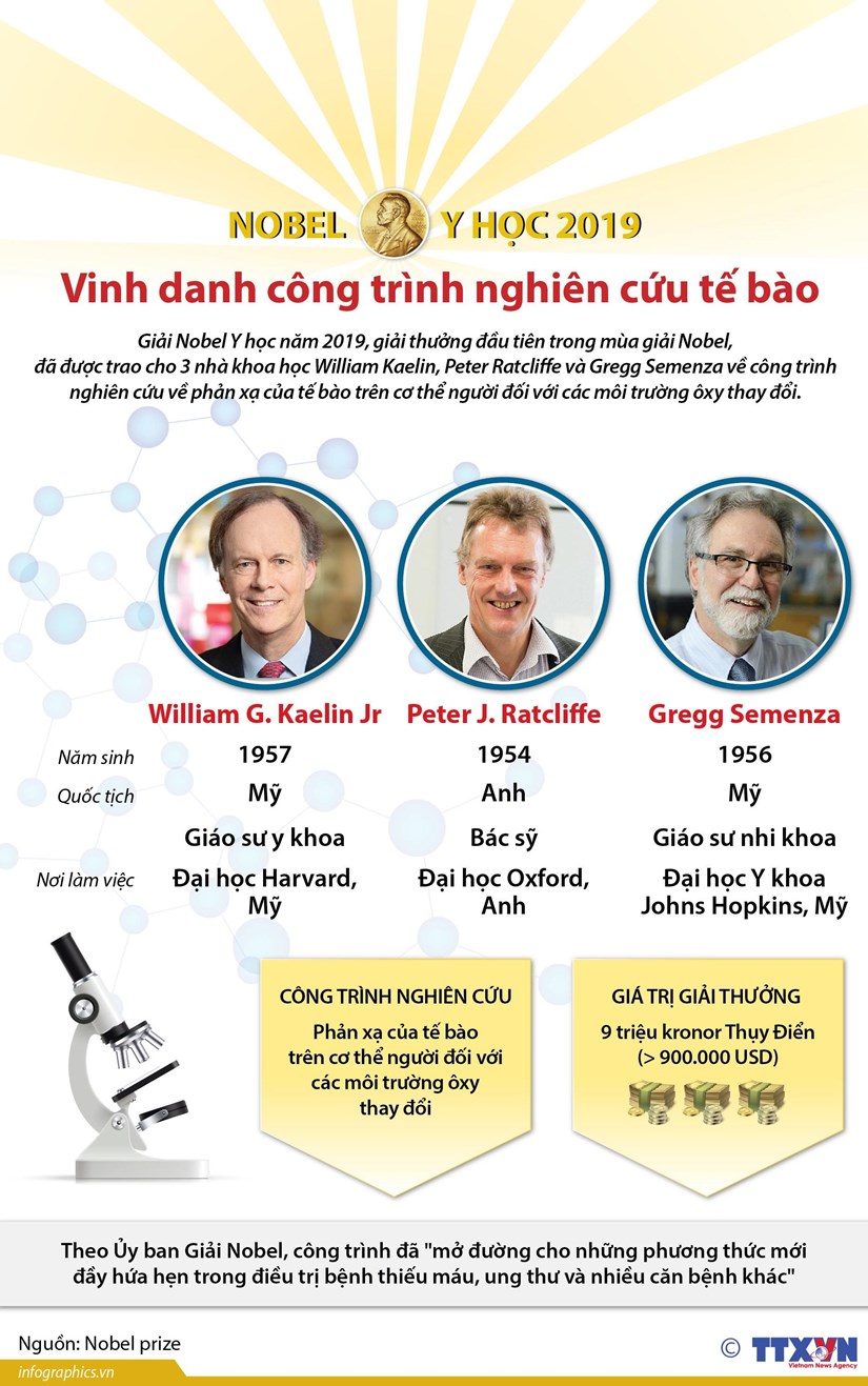 Nobel Y học 2019 vinh danh công trình nghiên cứu tế bào