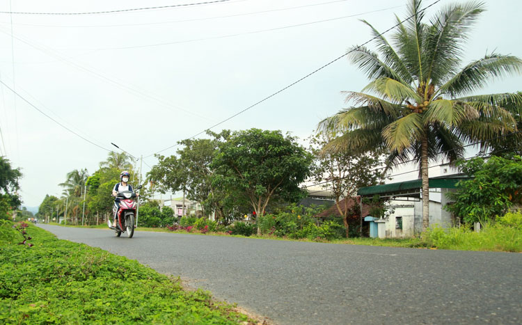 Tuyến đường hoa khiến bộ mặt nông thôn trở nên khang trang, đẹp mắt