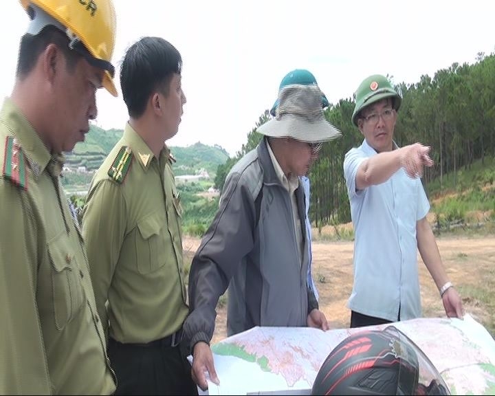 Lực lượng chức năng tiến hành giải tỏa, nhổ bỏ hàng nghìn cây trồng trái phép trên diện tích 6 ha
