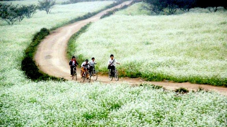 Ngôi trường trong ký ức...