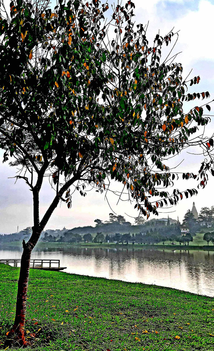 Đà Lạt khói sương