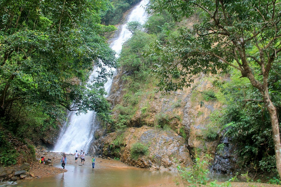 Có năm tiên nữ giữa đại ngàn