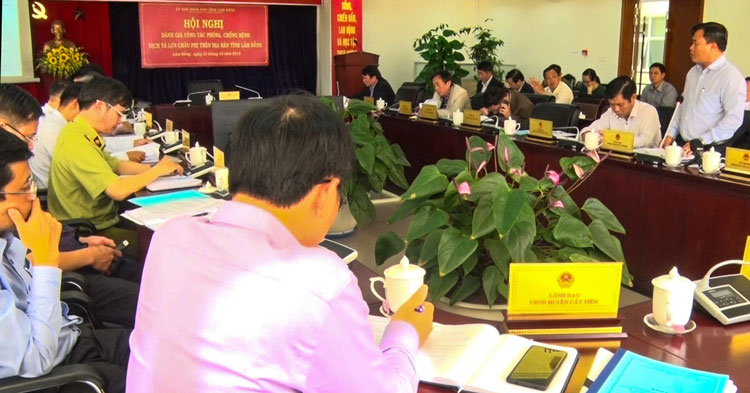 Bệnh dịch tả lợn Châu Phi làm thiệt hại hơn 156 tỷ đồng