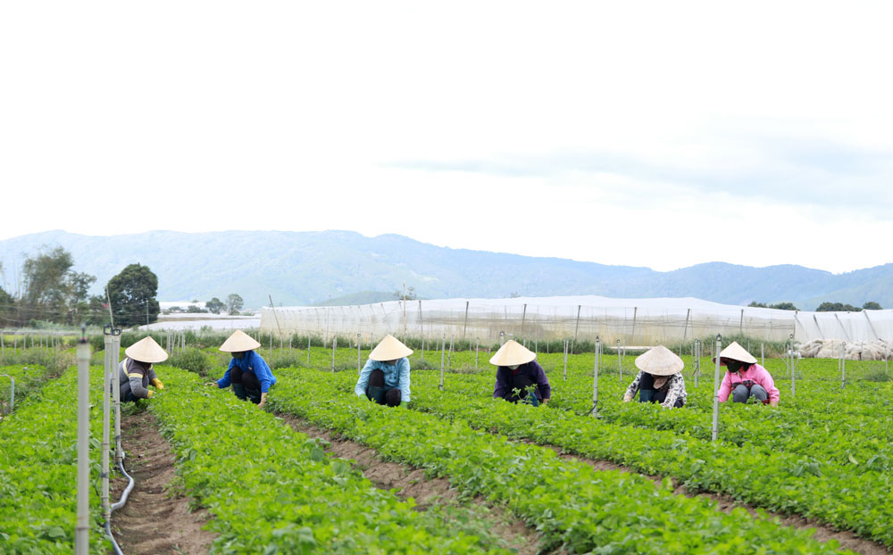 Tiếp tục một chặng đường mới (Bài cuối)