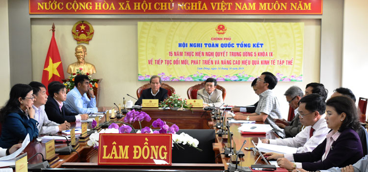 Tổng kết 15 năm đổi mới, phát triển và nâng cao hiệu quả kinh tế tập thể
