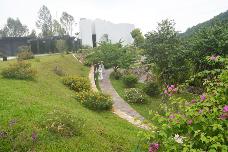 Lê Bá Đảng &quot;mặc áo cho cây&quot;