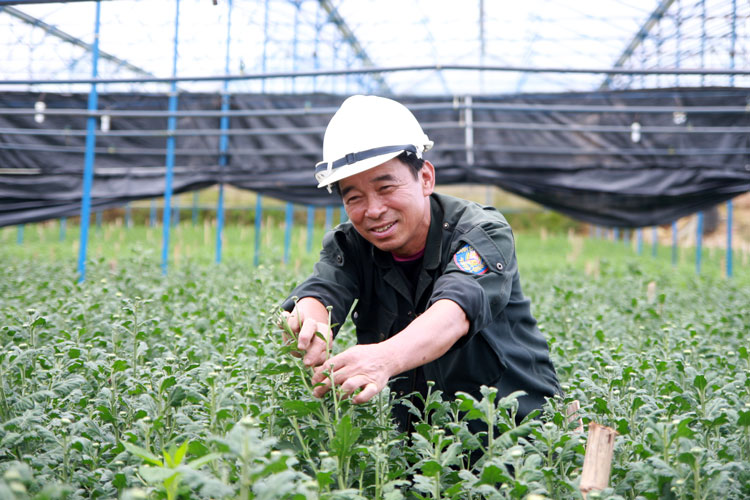 Người &quot;quê lúa&quot; trên đất Nam Tây Nguyên