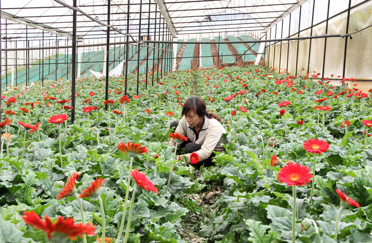 Những dấu ấn trong công tác dân vận ở Lâm Hà