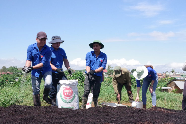 Các đội viên TTTTN hướng dẫn và giúp đỡ bà con thực hiện mô hình ủ vỏ cà phê. Ảnh: N.Ngà