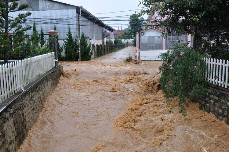 Tăng cường công tác ứng phó với bão số 6