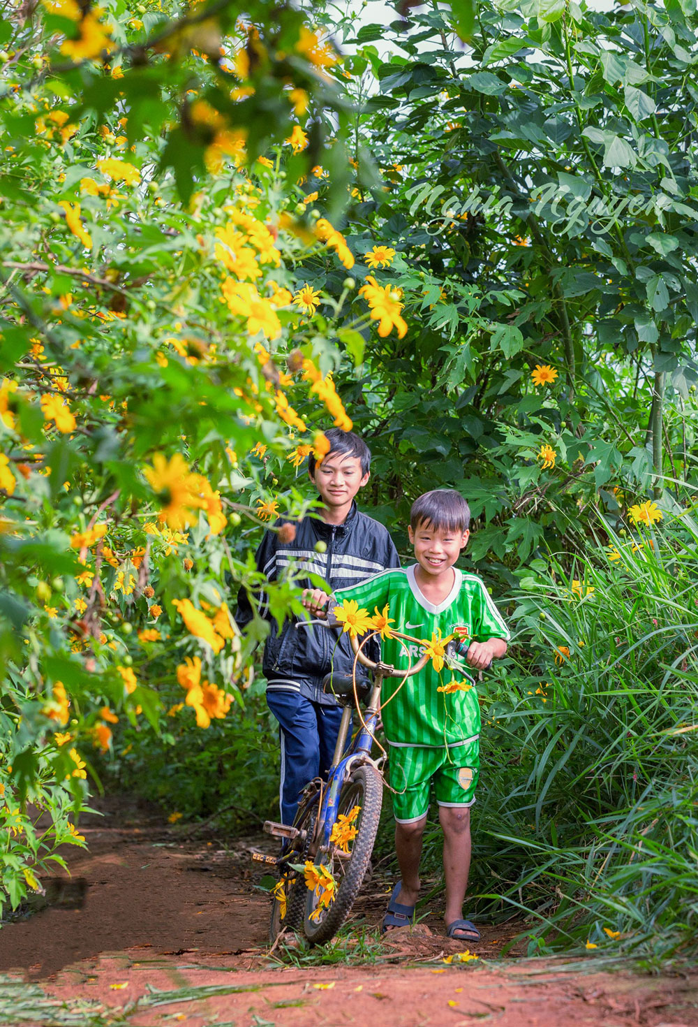 Đà Lạt mùa hoa quỳ vàng. Ảnh: Nguyễn Nghĩa