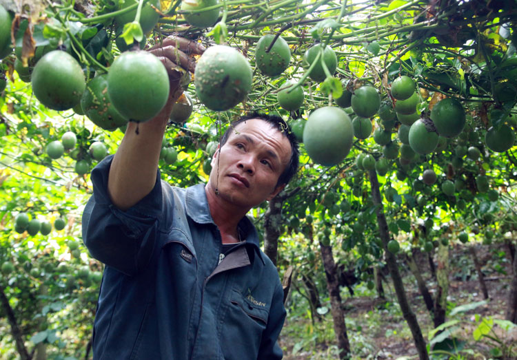 Nhìn lại công tác dân vận ở Lạc Dương