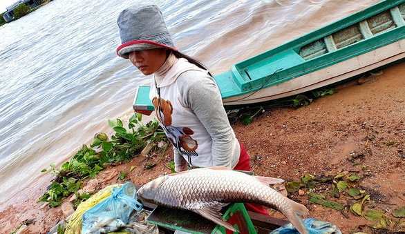 Nếu nay mai Biển Hồ hết cá...