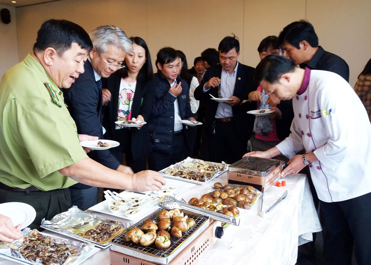 Bảo tồn và phát huy