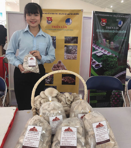 Sử dụng vỏ cà phê để trồng nấm bào ngư