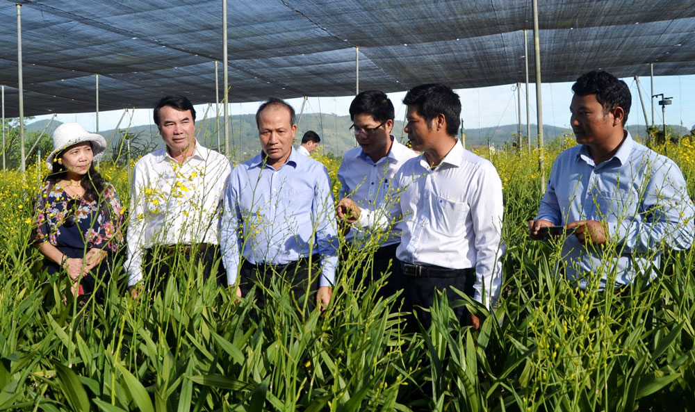 Xây dựng nông thôn, nông dân và nông nghiệp bền vững