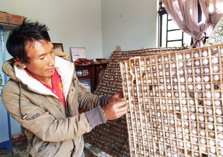 Giảm nghèo trên nông thôn mới bền vững