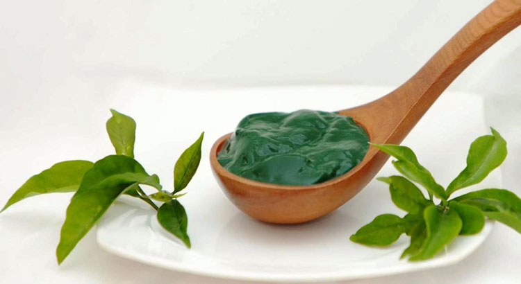 Sản phẩm tảo xoắn cấp đông trước khi đưa ra thị trường.
