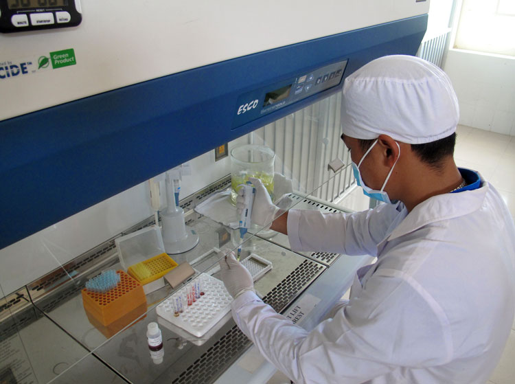 Can thiệp giảm tác hại dự phòng lây nhiễm HIV trong cộng đồng