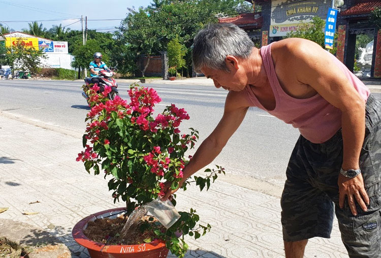 600 chậu hoa giấy tô điểm&quot;cửa ngõ&quot; Đạ Huoai