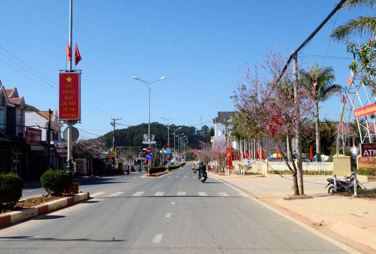 Năm 2020, Lạc Dương phấn đấu trở thành huyện nông thôn mới