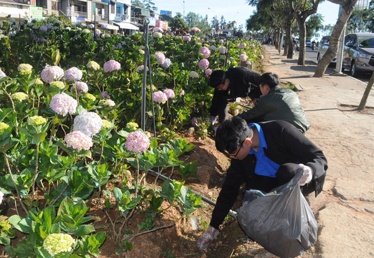 Hơn 1.000 đoàn viên dọn vệ sinh, thu gom rác thải