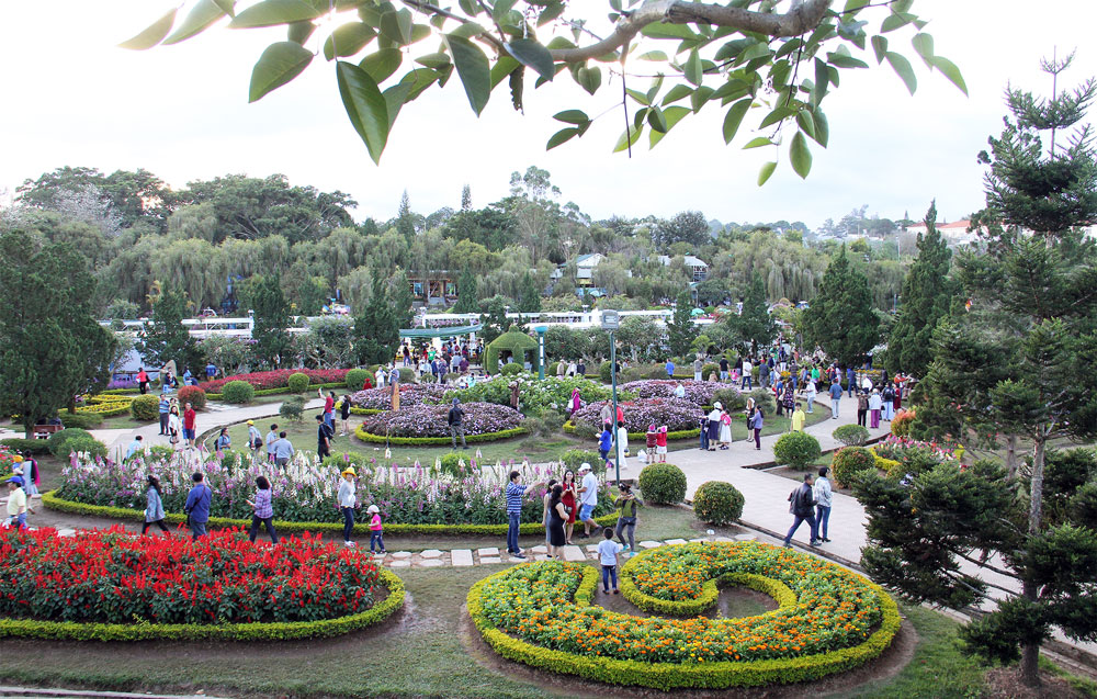 Đà Lạt - bản giao hưởng ngành hoa