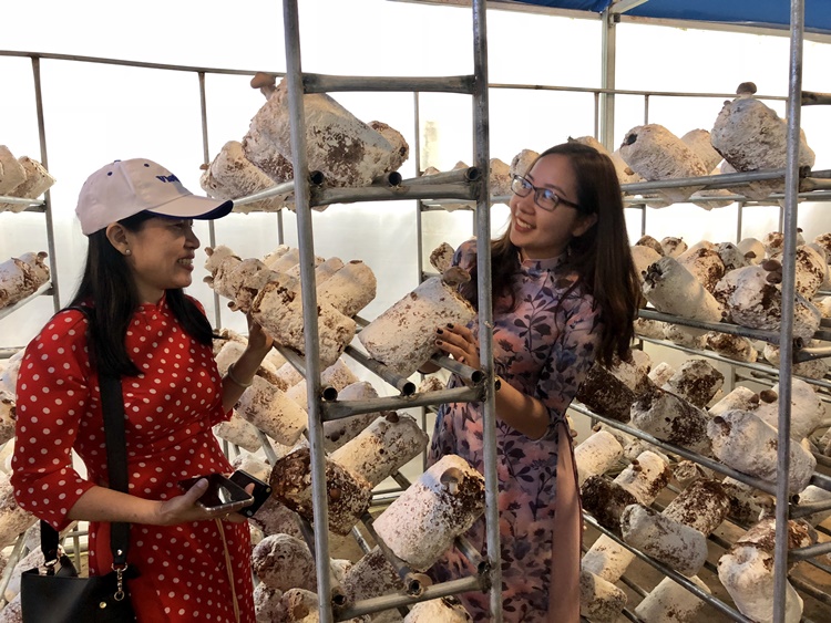 Thích thú khi tận tay sờ vào và tìm hiểu các loại nấm