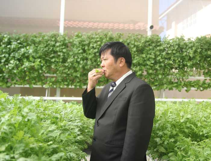 Du khách có thể thưởng thức rau, quả ngay tại vườn