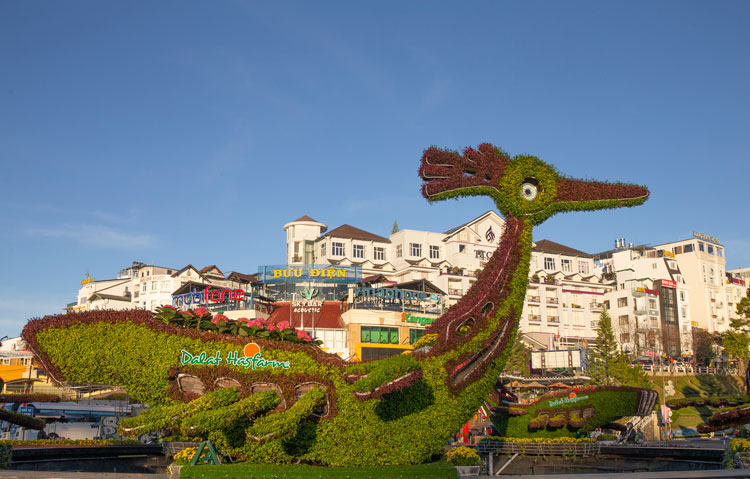 Dalat Hasfarm và những công trình hoa ấn tượng vì môi trường