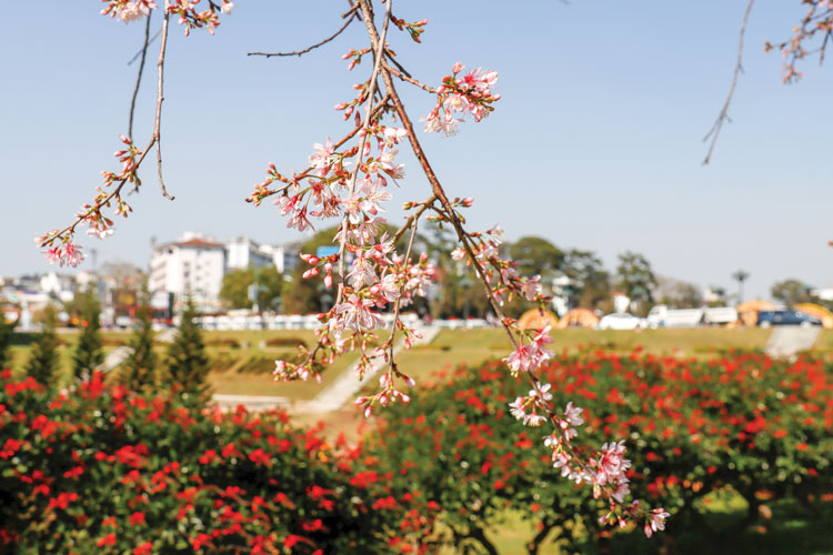Đường Lê Đại Hành. Ảnh: T.Trang