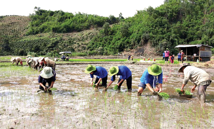 Dấu ấn tuổi trẻ trong 10 năm xây dựng nông thôn mới