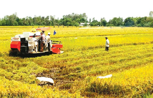Sức hút thủy điện và những hệ lụy trên sông Mê Công