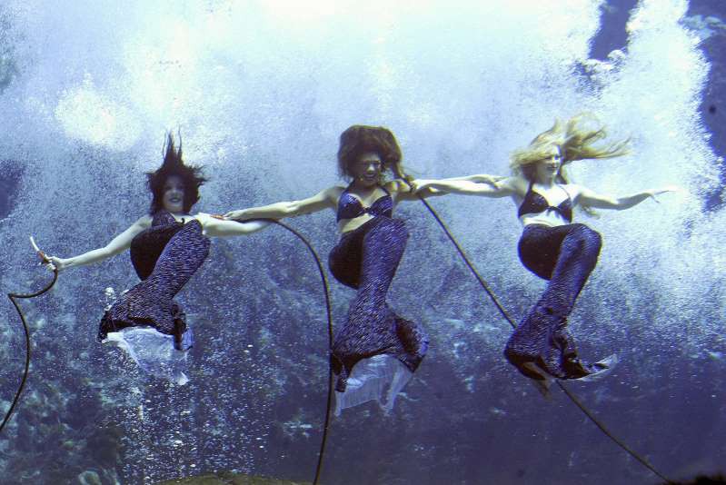 Weeki Wachee Springs ở Florida, Mỹ là một trong những hang động tự nhiên dưới nước lớn nhất ở Mỹ. Nơi đây nổi tiếng là thành phố duy nhất có 5 nàng tiên cá