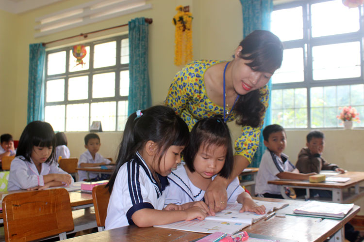 Những đóa hoa giữa rừng Bằng Lăng
