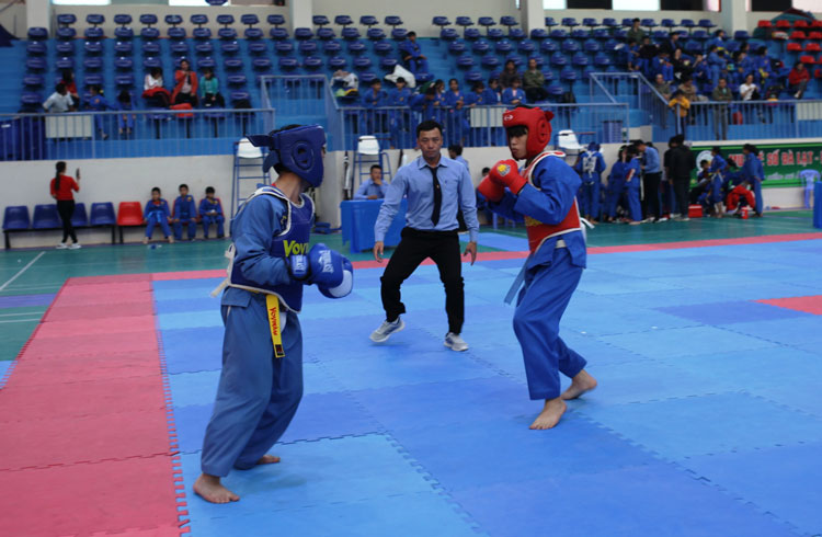 Vovinam và sự lan tỏa võ học dân tộc
