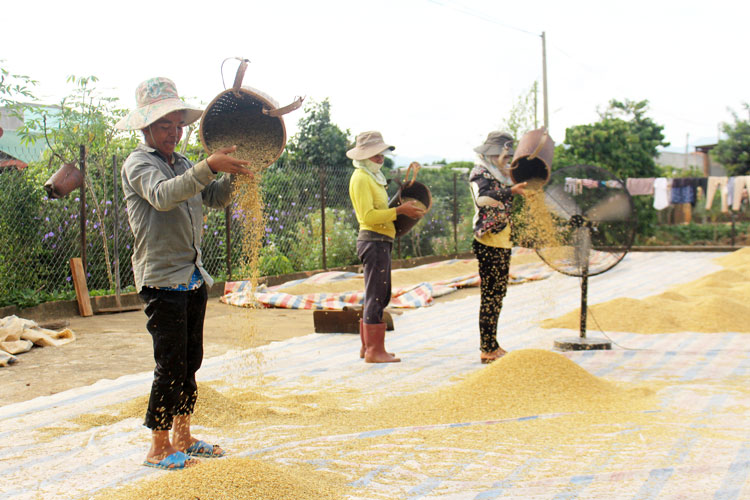 Lâm Hà với công tác, chính sách dân tộc