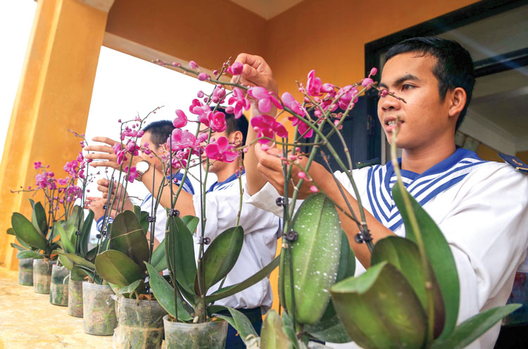 Cùng với cây quất, hoa mai vàng, hoa lan giúp bộ đội tô điểm căn phòng, dãy nhà thêm nét xuân khi tết đến. Ảnh: Chính Thành