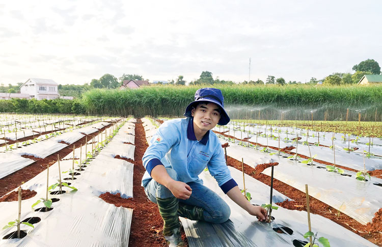 Chàng kỹ sư nông nghiệp Hồng Nhân khởi nghiệp thành công trên chính mảnh đất quê hương với những kinh nghiệm học hỏi từ đợt thực tập ở Israel