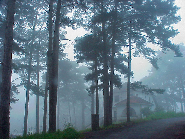 Nhà ở Đà Lạt