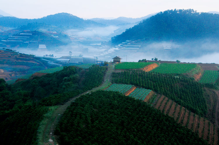 Đà Lạt là thế này đây