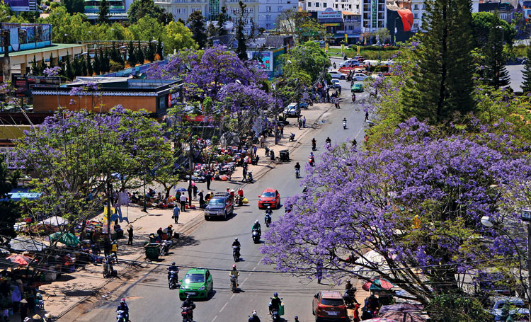 Những cung đường hoa