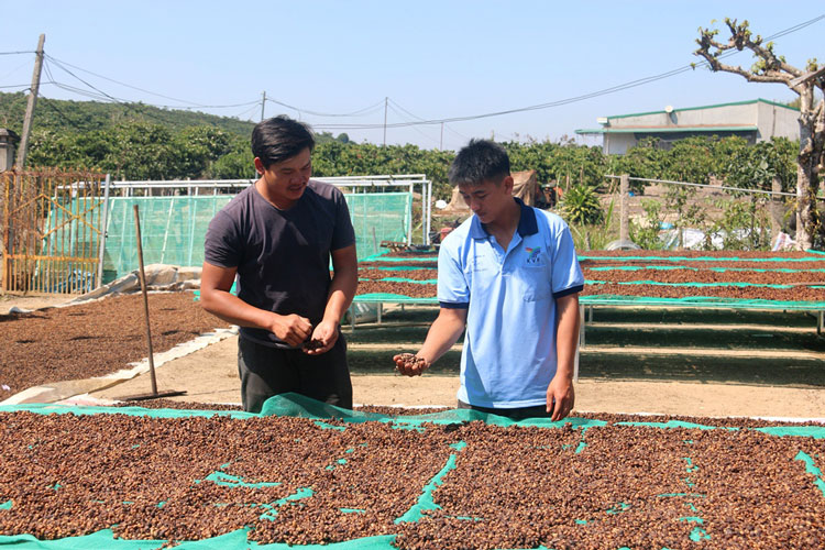 Nghị lực thủ lĩnh thanh niên nông thôn