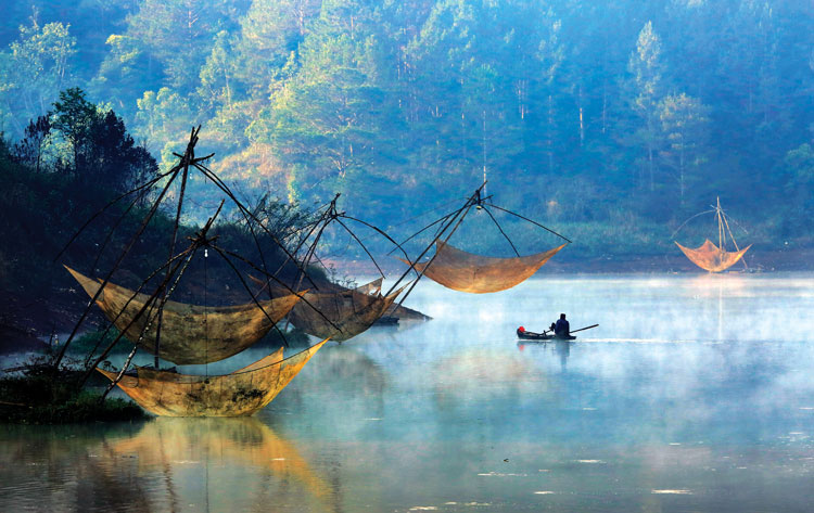 Qua miền mơ ước