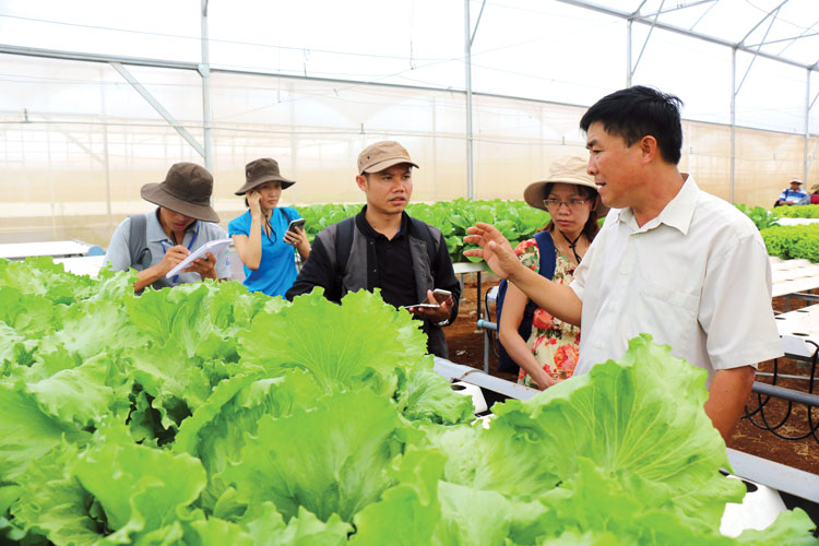 Gia đình nông nghiệp đặc biệt