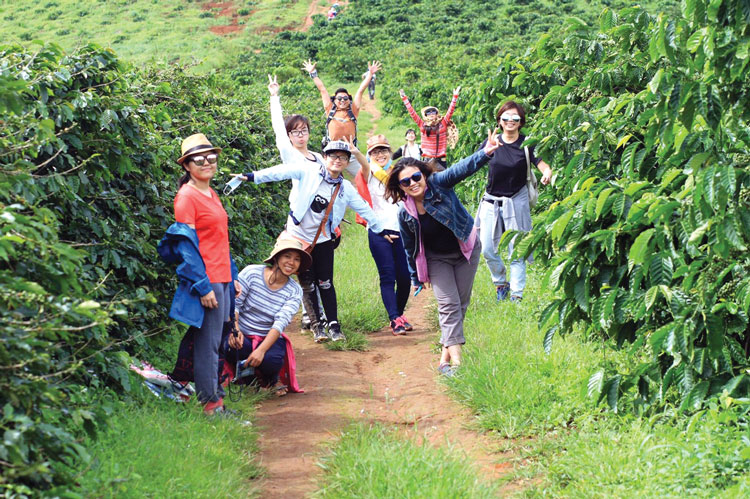 Hoạt động trải nghiệm của khách đến với Sàn homestay