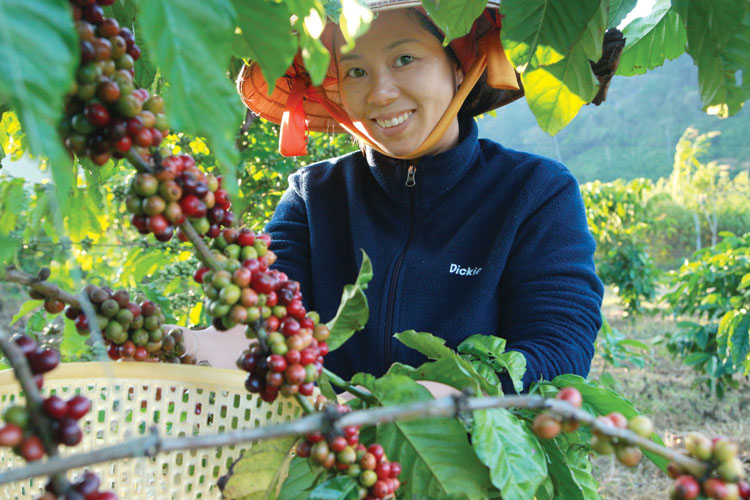 Từ một cử nhân Ngoại thương, từng đi và làm việc tại hơn 10 quốc gia trên thế giới, lúc này, trông Diện chẳng khác gì một cô gái nhà nông thực thụ như chính mẹ của mình