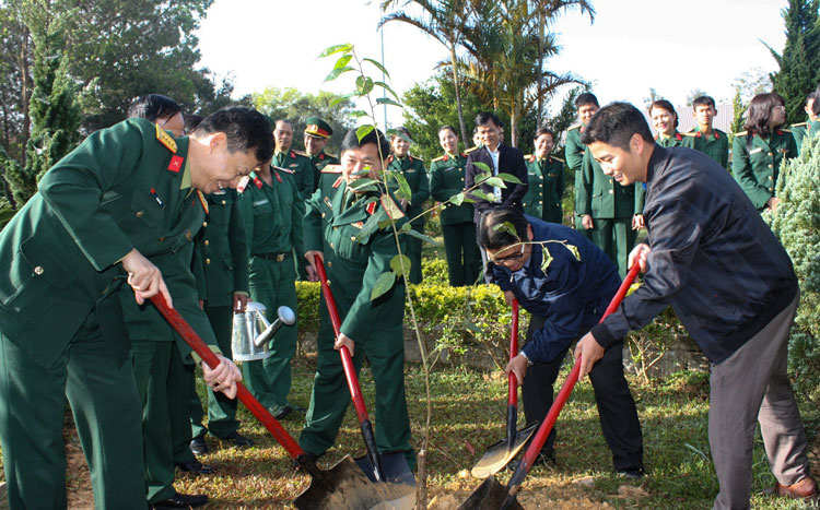 Gói bánh chưng, làm mứt tết tặng các hoàn cảnh khó khăn